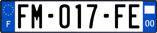 FM-017-FE
