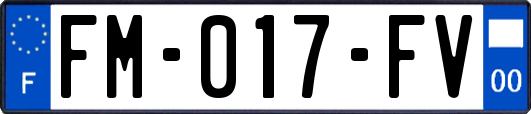 FM-017-FV