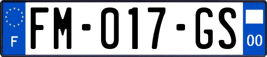 FM-017-GS