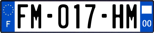 FM-017-HM