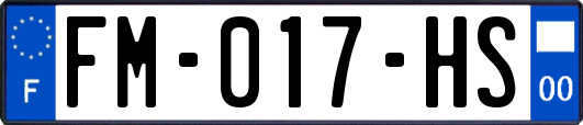 FM-017-HS