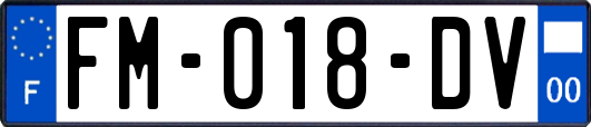 FM-018-DV