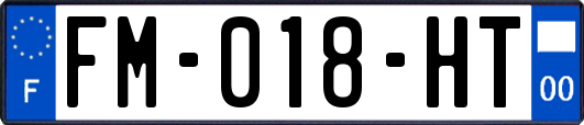 FM-018-HT