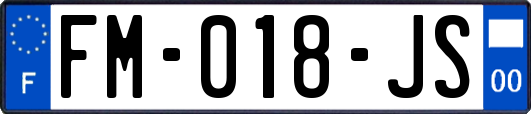 FM-018-JS