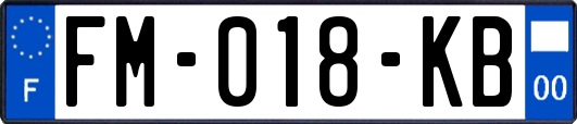 FM-018-KB