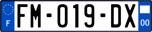 FM-019-DX