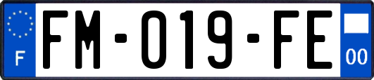 FM-019-FE