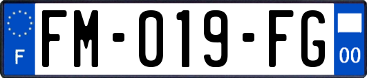 FM-019-FG