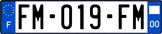FM-019-FM