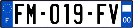 FM-019-FV