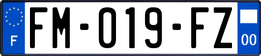 FM-019-FZ