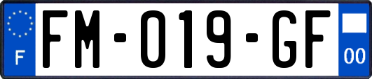 FM-019-GF