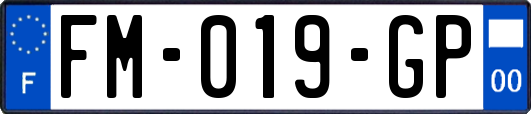 FM-019-GP
