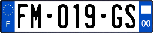 FM-019-GS