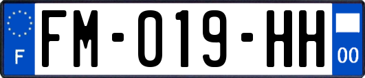 FM-019-HH