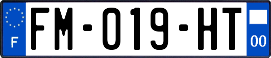 FM-019-HT
