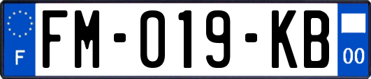 FM-019-KB