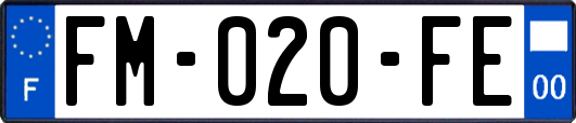 FM-020-FE