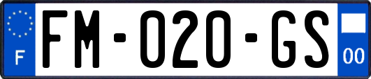 FM-020-GS