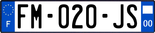 FM-020-JS