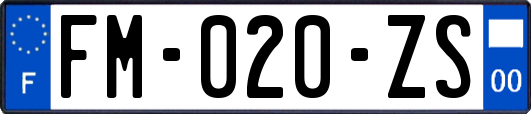 FM-020-ZS