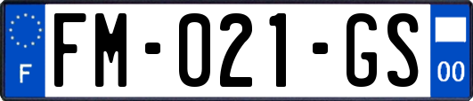 FM-021-GS