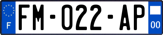 FM-022-AP