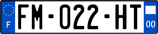 FM-022-HT