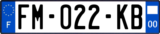 FM-022-KB