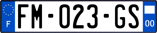 FM-023-GS