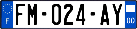 FM-024-AY