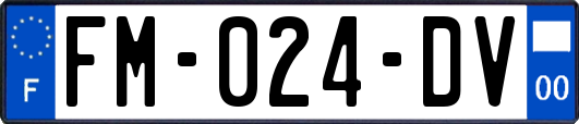 FM-024-DV