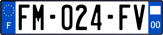 FM-024-FV