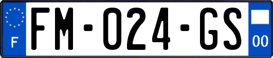 FM-024-GS