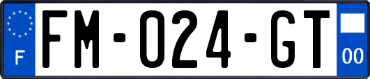 FM-024-GT