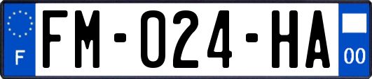 FM-024-HA