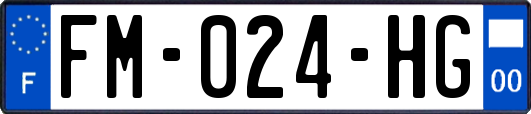 FM-024-HG