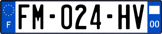 FM-024-HV