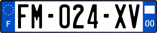 FM-024-XV