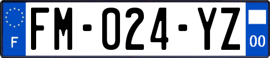 FM-024-YZ