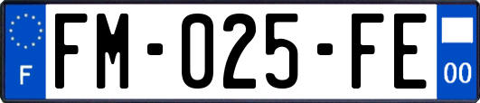 FM-025-FE