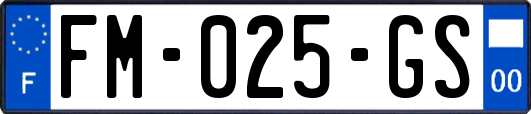 FM-025-GS