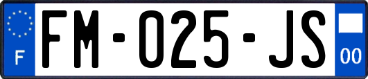 FM-025-JS