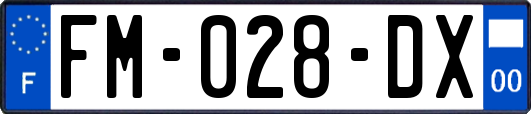 FM-028-DX