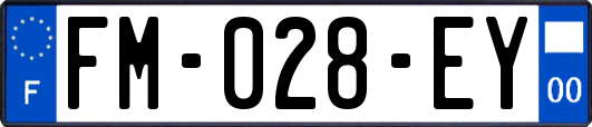FM-028-EY