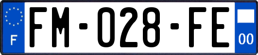 FM-028-FE