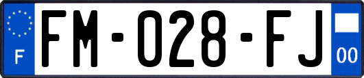 FM-028-FJ