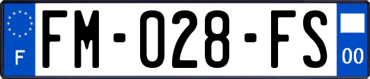 FM-028-FS