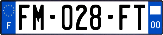 FM-028-FT