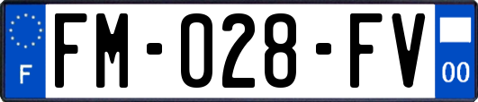 FM-028-FV